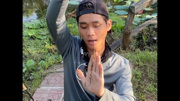 Bài mồi trị lóc bông nhát cực hiệu quả #huonglure