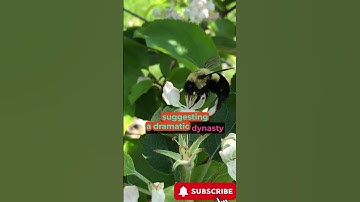 Ancient Marvel Ichthyosaur Fossil Unearthed  CNN Science Newsletter