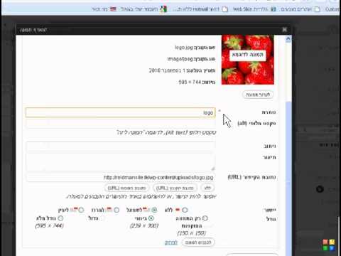 איך מוסיפים תמונה לעמוד\פוסט