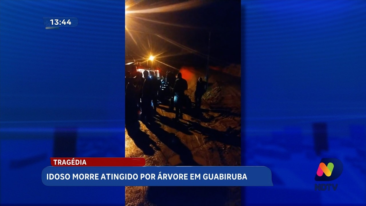 Guabiruba: idoso morre após ser atingido por árvore