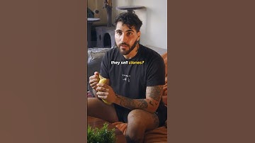 Why cloning Arabs should be illegal