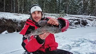 картинка: Зимняя рыбалка на ХАРИУСА. Разведываем новые места. Испытываем снегоход Stels Ермак 800 по пухляку.