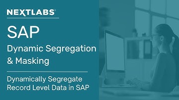Dynamically Segregate Record Level Data in SAP