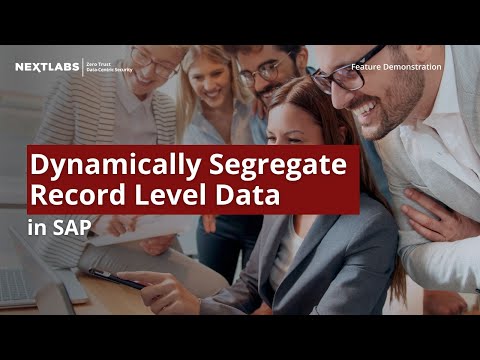Dynamically Segregate Record Level Data in SAP