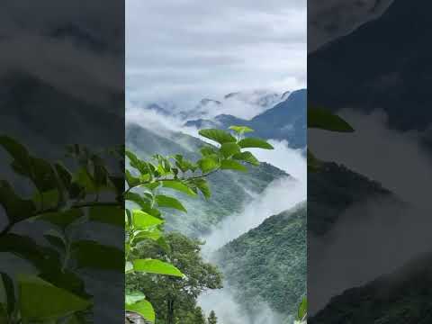 معین تو را دیدم تو بارون دل دریا تو بودی معین
