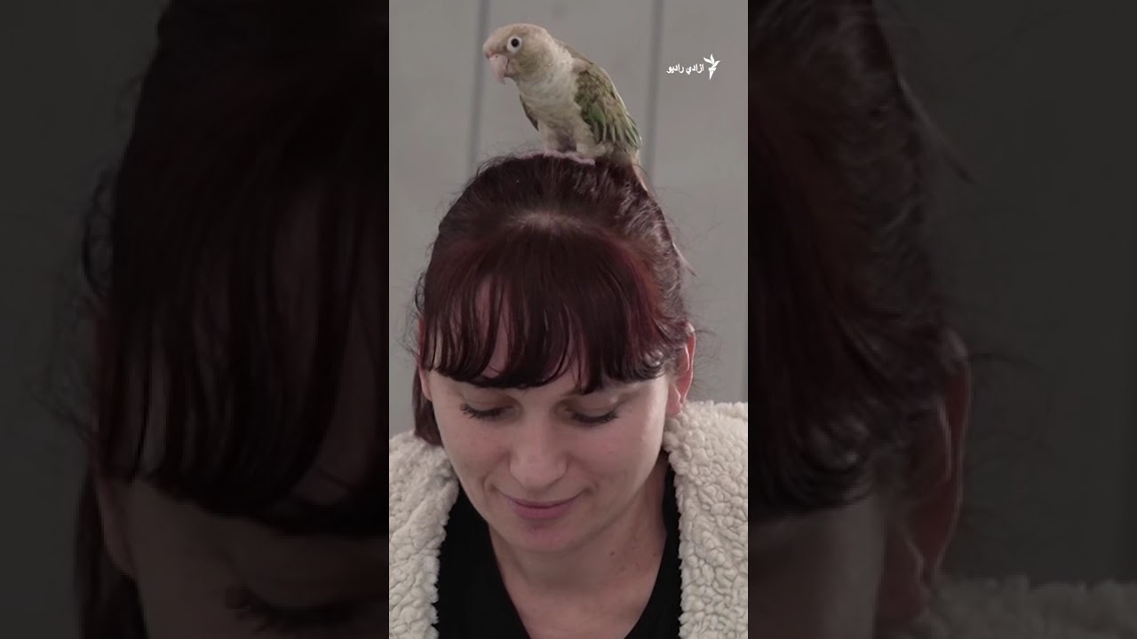 د تل ابیب میټرو د خلکو پناه ځای؛ ځینې روان وضعیت سخت اندېښمن کړي