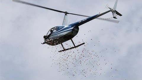 Avlona synod lets helicopter fly over their monastery to drop rose petals all over it.