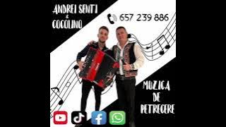 Andrei 🚀 Sentí ( Colaj sârbe , Nui bogat cine se crede ) 🎤♥️🎹♥️💯💯🚀😘 Cover