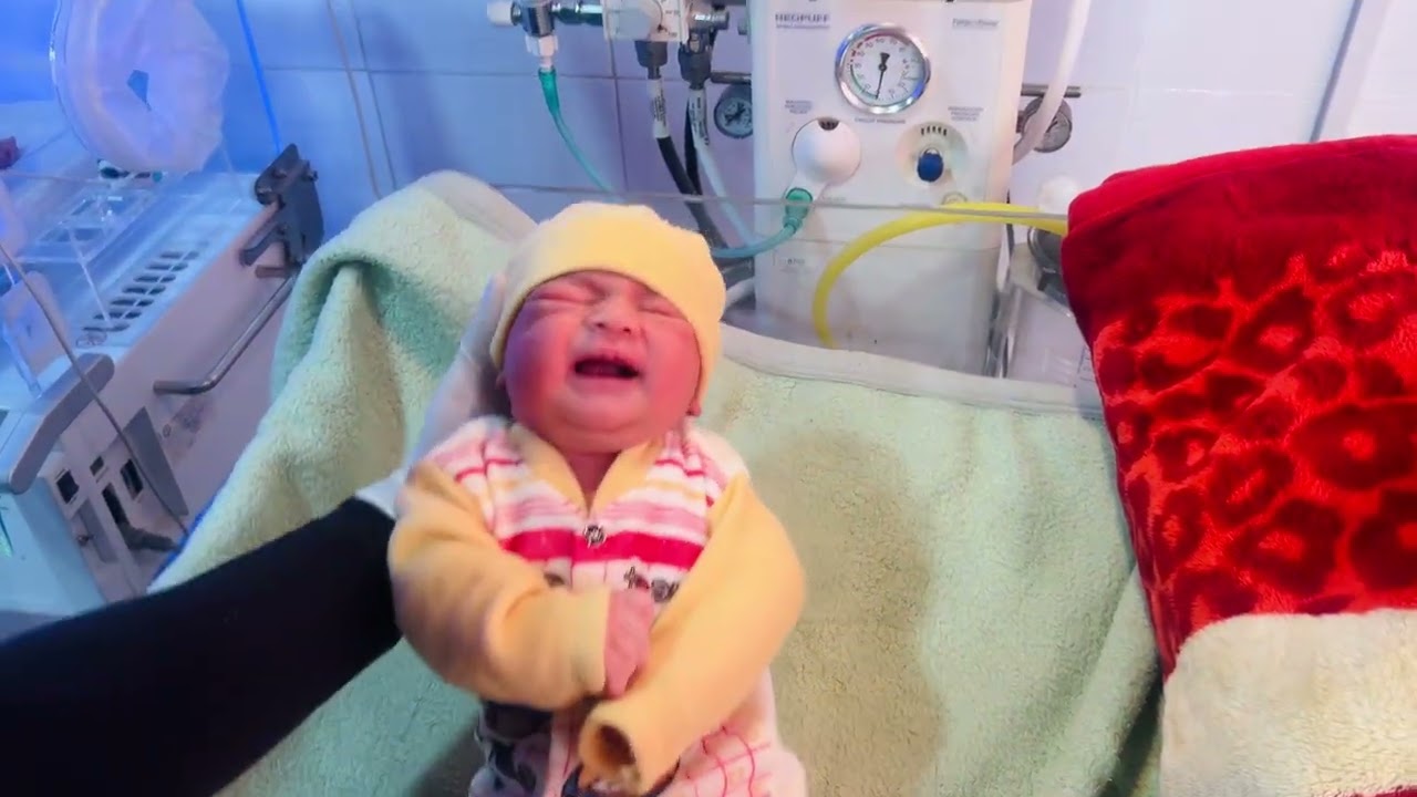 Feeding Babies 🍼🙂 | Cute Feeding Time Moments 🫀😊