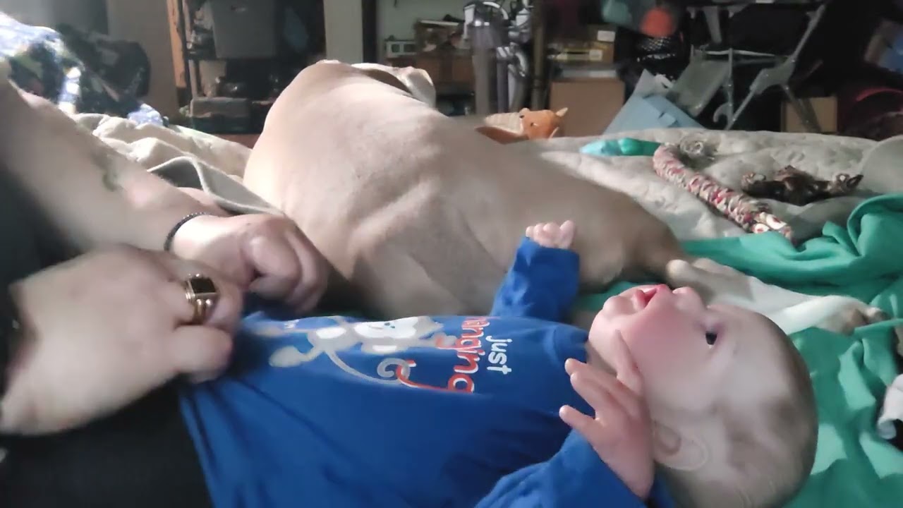 Meet William Joseph..