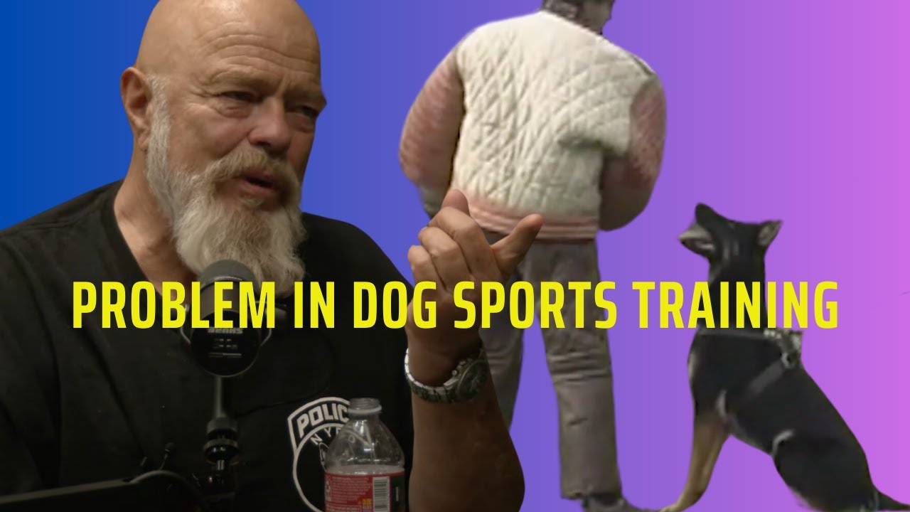 Problem in Dog Sport Training