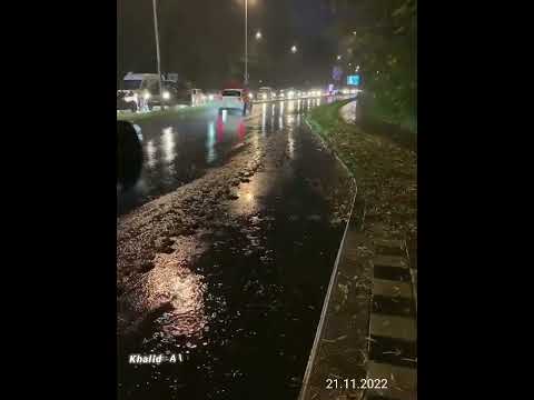 شادية بلاش تسافر