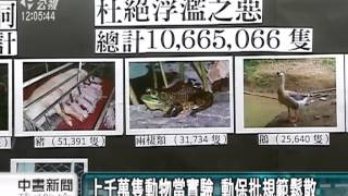 20130820公視中晝新聞-動物當實驗 動保促公開檢視勿浮濫