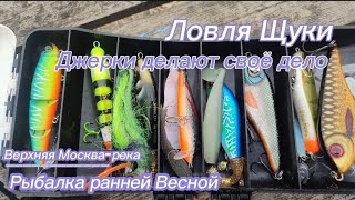 картинка: Джерки делают своё дело. Ловля Щуки. Рыбалка ранней Весной. Москва-река.
