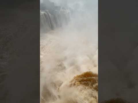 Взгляд в БЕЗДНУ гигантского водопада Игуасу #бразилия #brazil #iguazufalls #водопад #путешествия