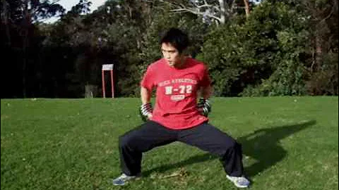 工字伏虎拳 Gung Ji Fuk Fu Kuen - Sam