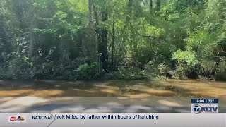 Harrison County crews work to clear roads blocked by trees, damaged after heavy rain