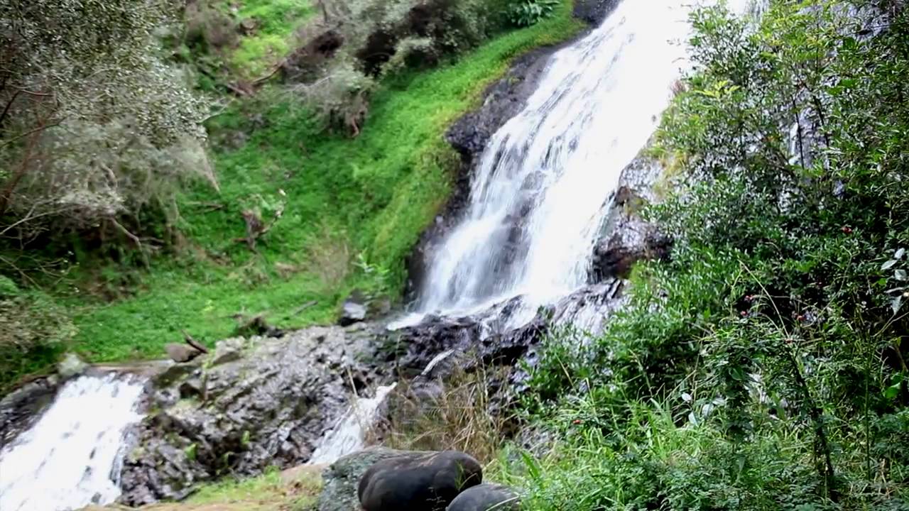 Cascade Country Manor