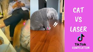 Cat vs laser pointer compilation. Random funny cats' reactions to laser pointers to make you laugh. by Oh Hooman 622 views 2 years ago 4 minutes, 55 seconds