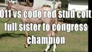 2011 VS CODE RED