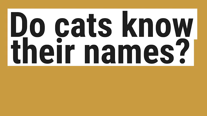 Do cats know their names?