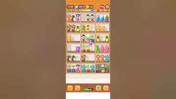 Goods Sort_Sorting Game Level 20