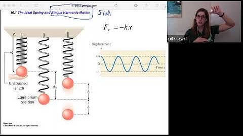 phys2A ch10.1 The Ideal Spring & Simple Harmonic Motion
