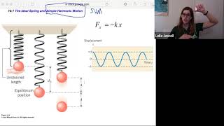 phys2A ch10.1 The Ideal Spring & Simple Harmonic Motion