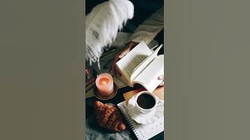 Videli Free Footage - A Person Browsing The Pages Of A Book