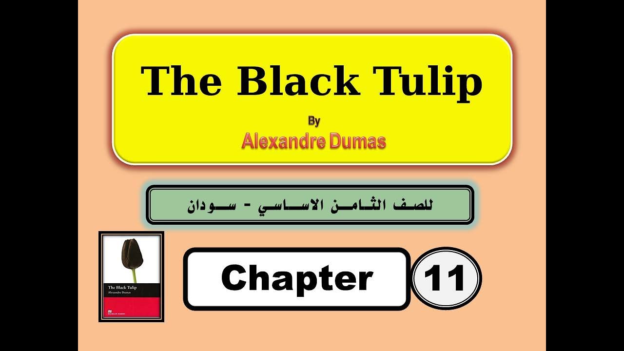 The Black Tulip Chapter (11)