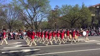 2015 Cherry Blossom Parade Marching Band in DC