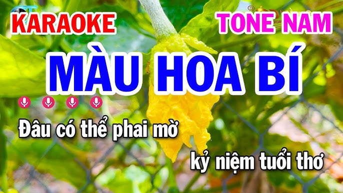 Karaoke Màu Hoa Bí Tone Nam (A#m La # Thứ) || Tuấn Cò Karaoke