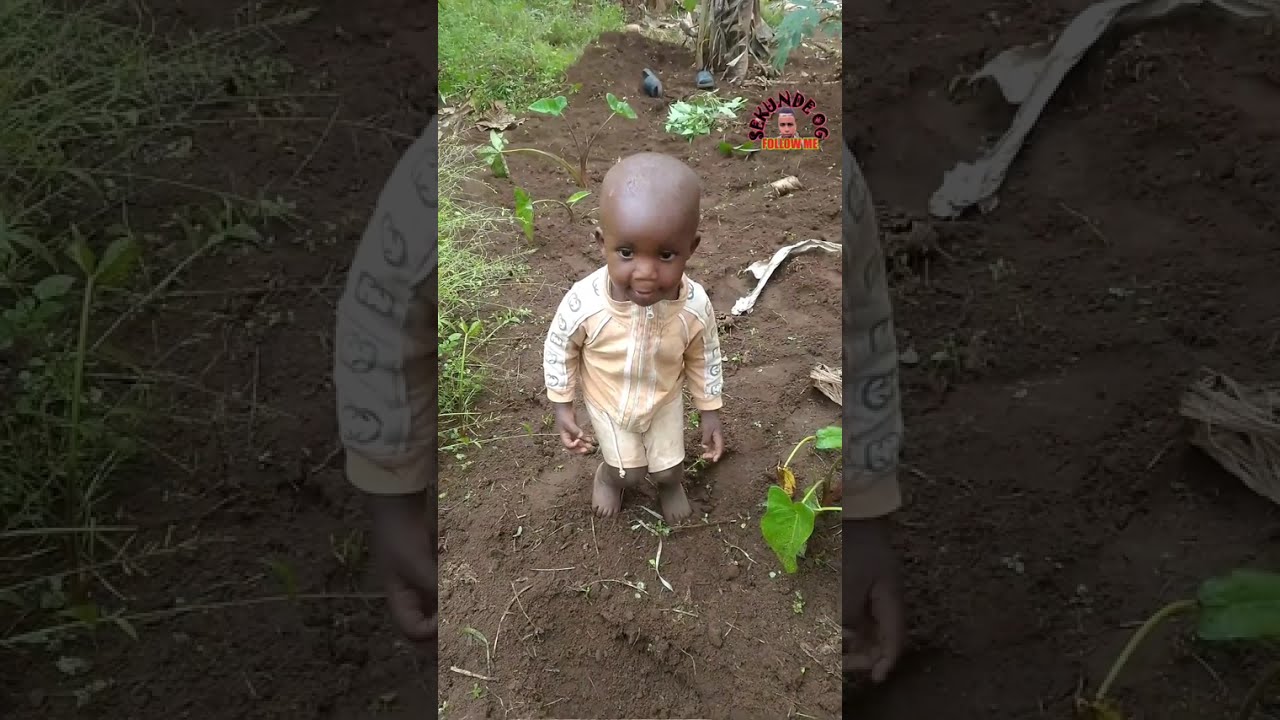 Best comedy 2026,,,, 1-20 full clip