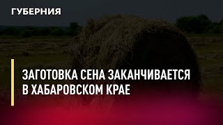 Заготовка сена заканчивается в Хабаровском крае. Новости. 22/07/2022