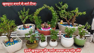 जेड प्लांट से घर सजाने के तरीके | collection of jade plant | Types of Jede bonsai | jade topiary |