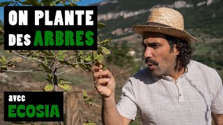 On plante des arbres