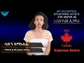 V33      express entry canada amharic