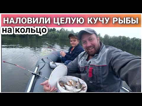 Рыбалка на кольцо/Клюёт  как из пулемёта😀/Наловили 10 килограмм рыбы за три часа🔥/река КАМА!