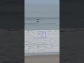 MOLLENDOHOY  HERMOSOS DELFINES VISITAN LA PRIMERA PLAYA DE MI PUERTO BRAVO.COMPARTE