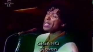 Djavan - Heineken Concerts