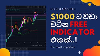 A free indicator worth of more than $1000 - TD Sequential -  Sinhala