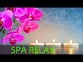 Relaxing Spa Music, Meditation, Healing, Stress Relief, Sleep Music, Yoga, Sleep, Zen, Spa, ☯506