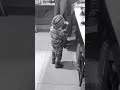 #kids #funny #funnyvideo #funnyshorts #punjab