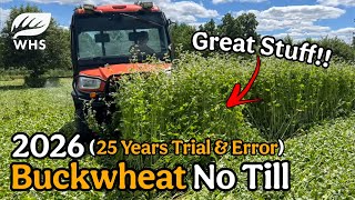 Buckwheat Cover Crop 2026