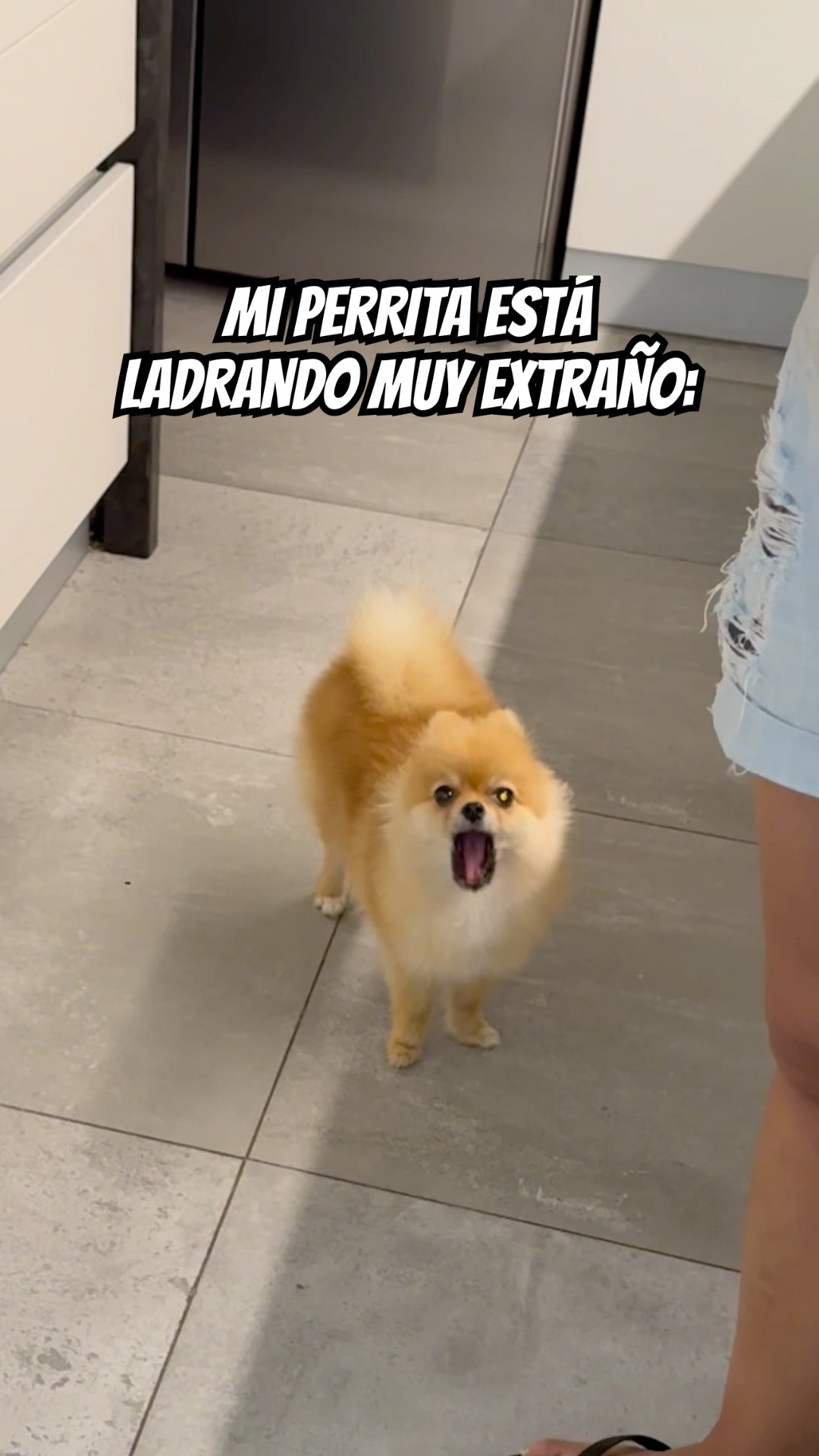 MI PERRITA ESTÁ POSEÍDA