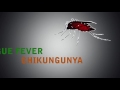 Zika Virus Education - 411