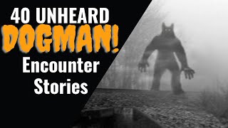 40 SCARY DOGMAN STORIES | 3 Hours Of Dogman Encounter #Stories