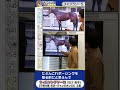 【2026年 フェブラリーＳ】ウィルソンテソーロの馬体診断　 #shorts #競馬 #予想