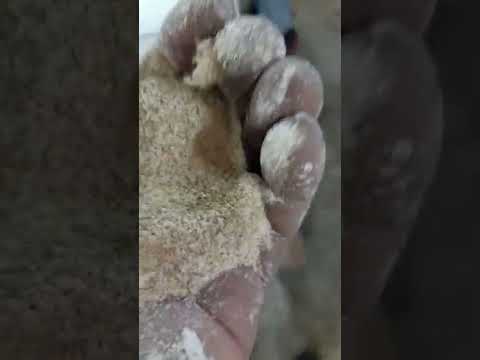 منخل تحسين دقيق الخبز مخابز