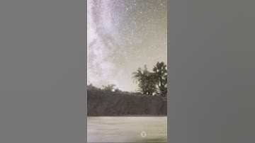 Discovering the Polynesian Wayfinder | Short Explainer